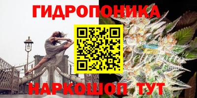 PSILOCYBIN Обнинск