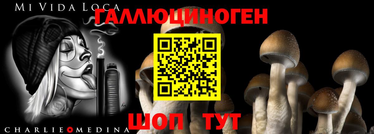 купить закладку  Вход с VPN  Тара  Галлюциногенные грибы прущие грибы 